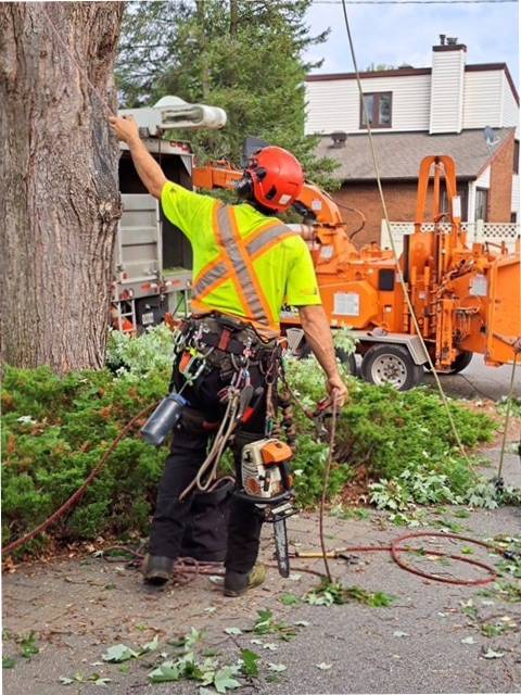 Campbell Tree Experts Inc photo 2